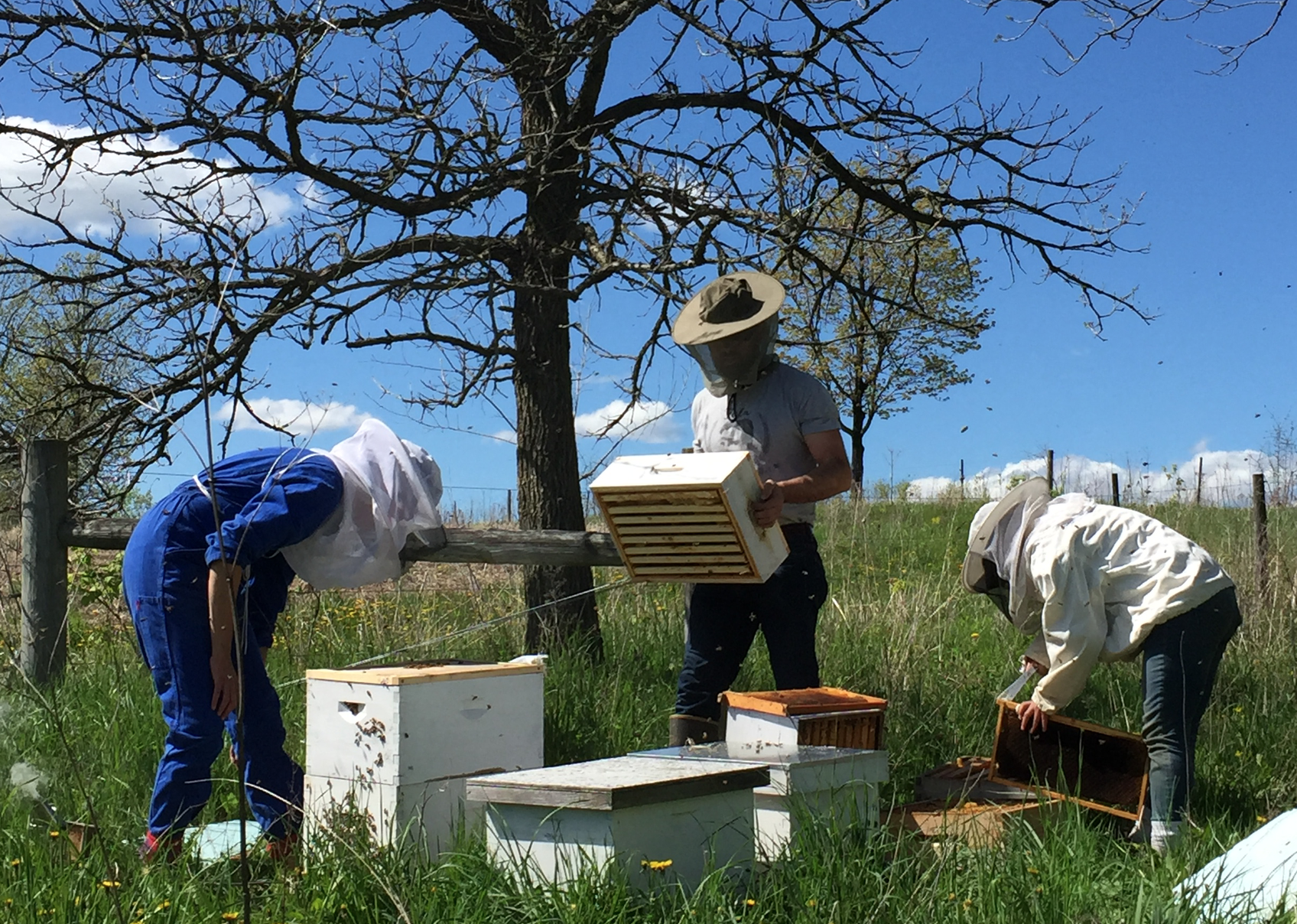 Screen Shot 2018-02-12 at 4.41.02 PM.png