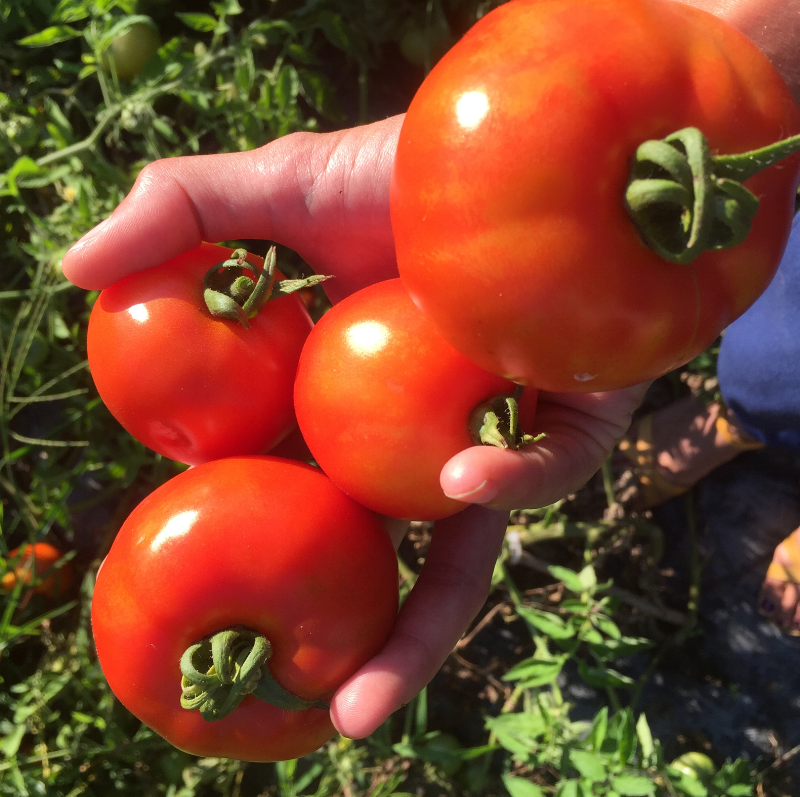 Screen Shot 2017-09-05 at 10.59.22 PM.png