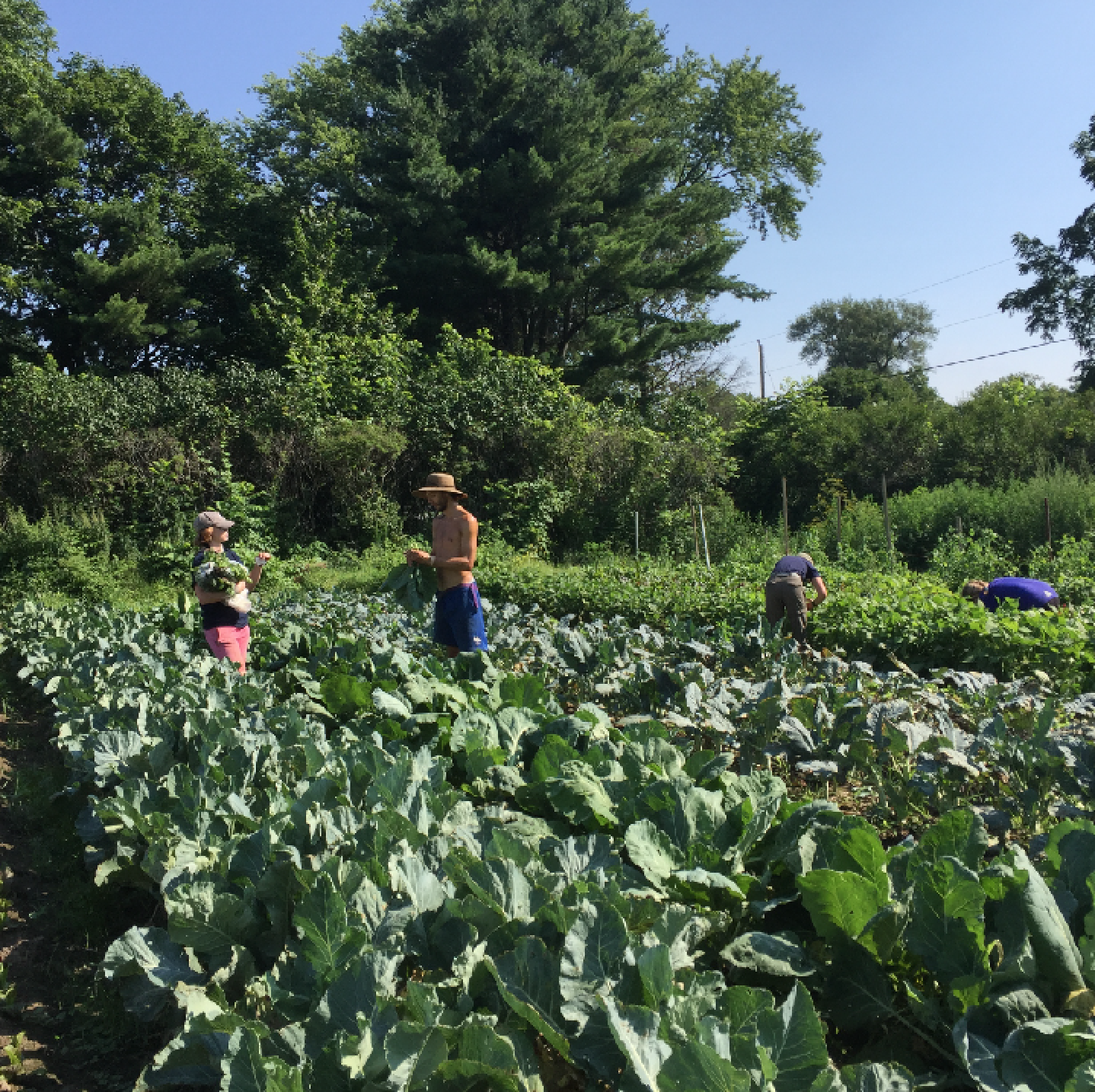 Screen Shot 2018-03-28 at 1.24.40 PM.png