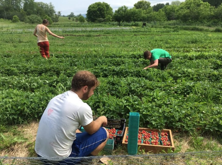 Screen Shot 2018-03-28 at 2.20.47 PM.png