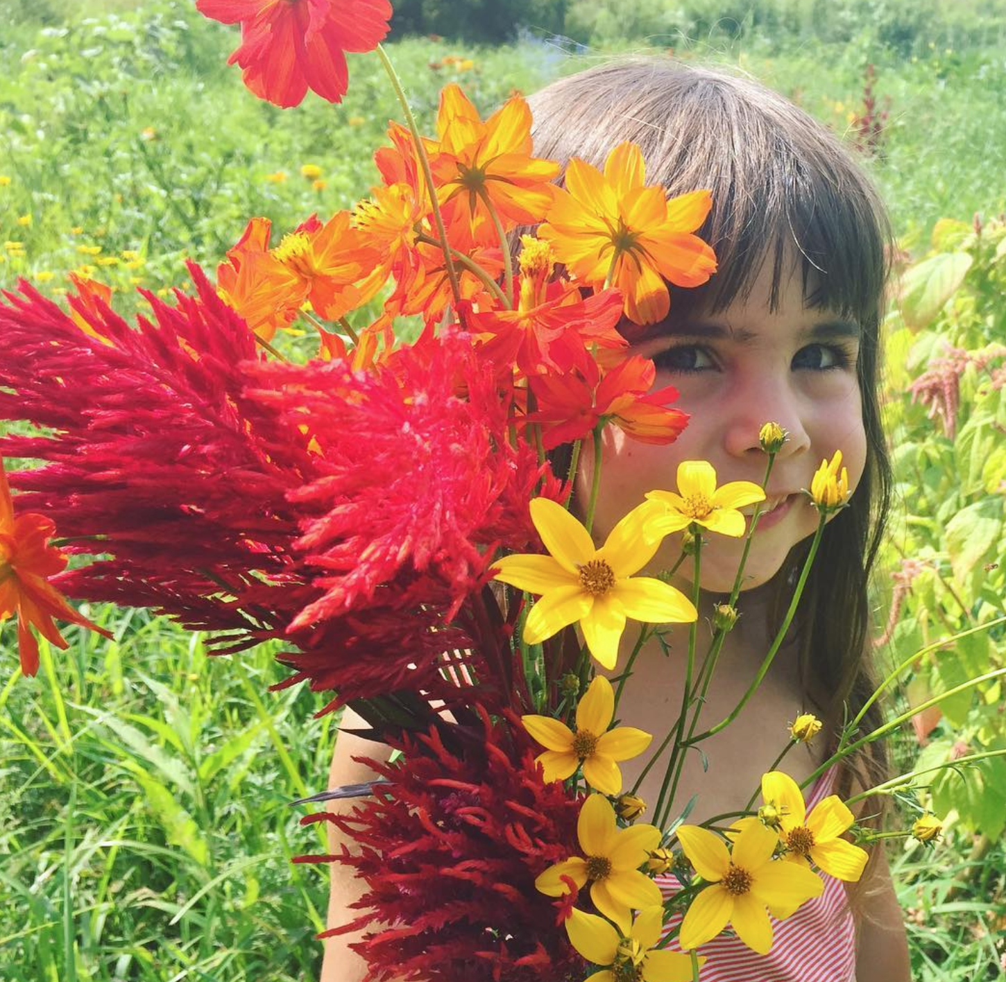 Screen Shot 2018-02-12 at 12.22.19 PM.png