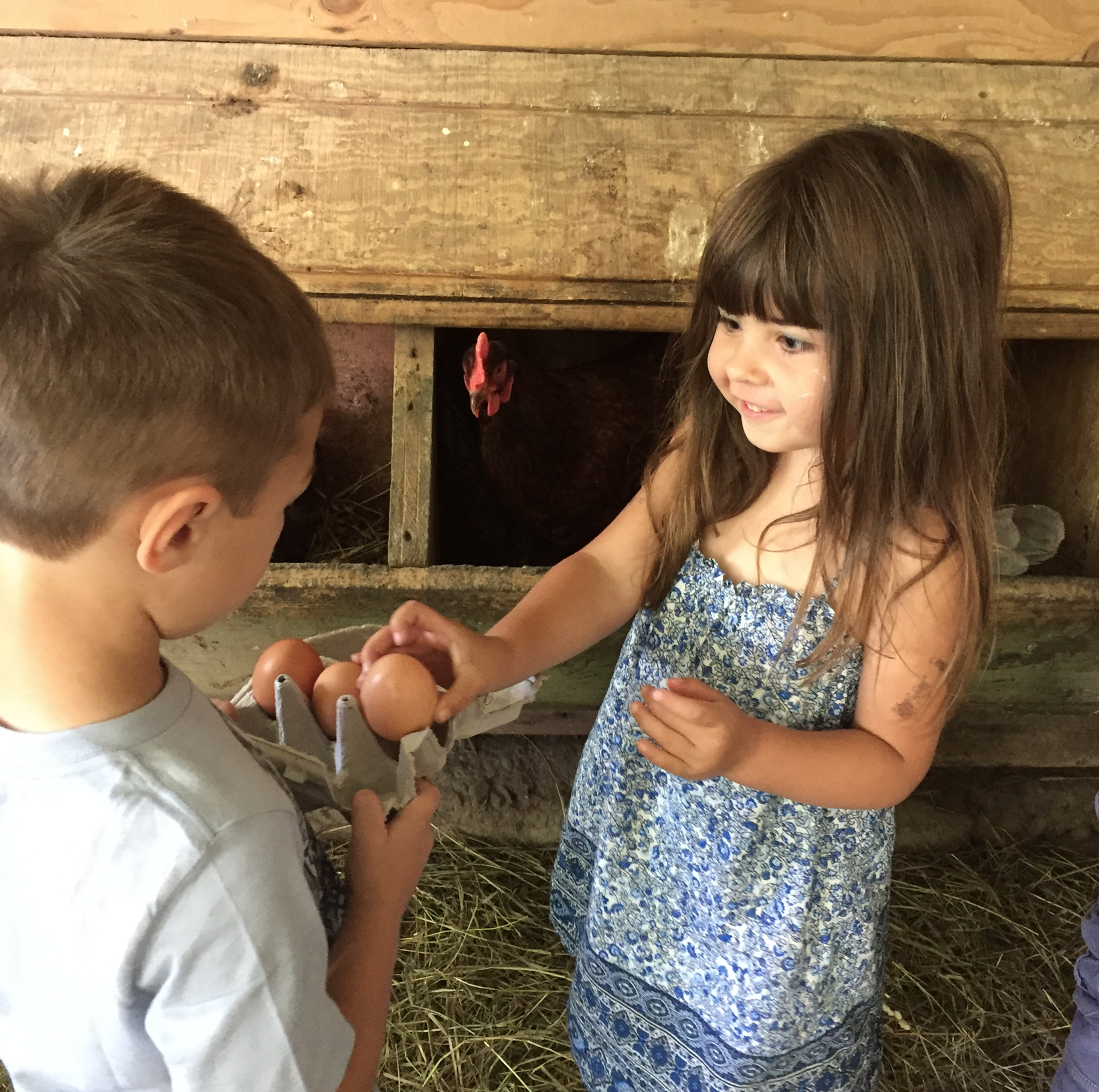 Screen Shot 2018-04-26 at 12.44.53 PM.png