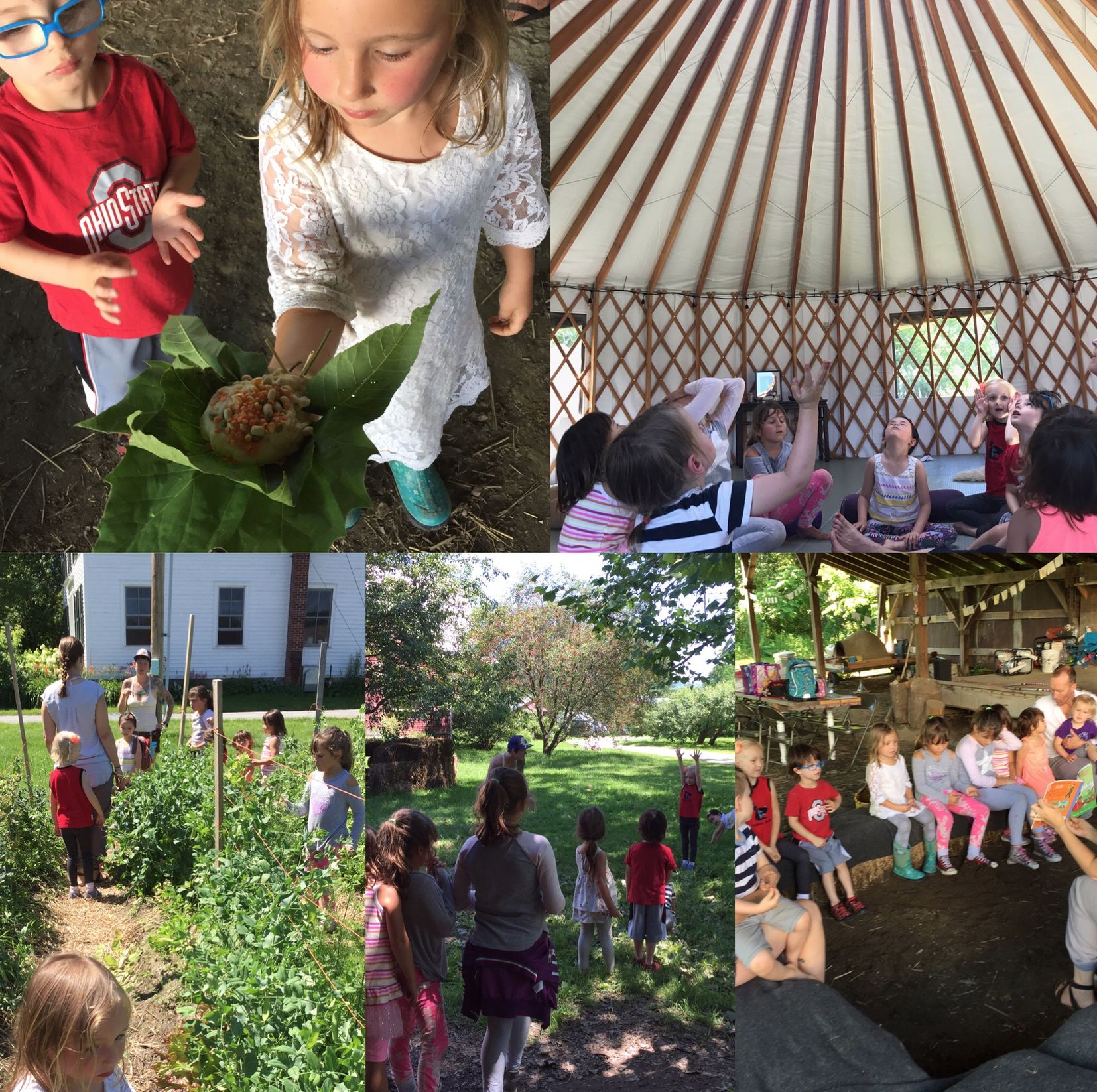 Screen Shot 2018-04-26 at 12.43.49 PM.png