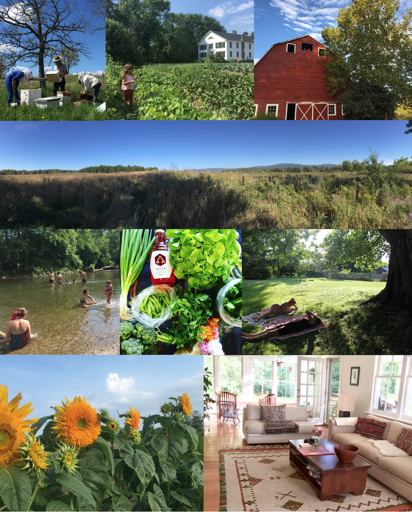 goldenwellmontage1 sm.jpg