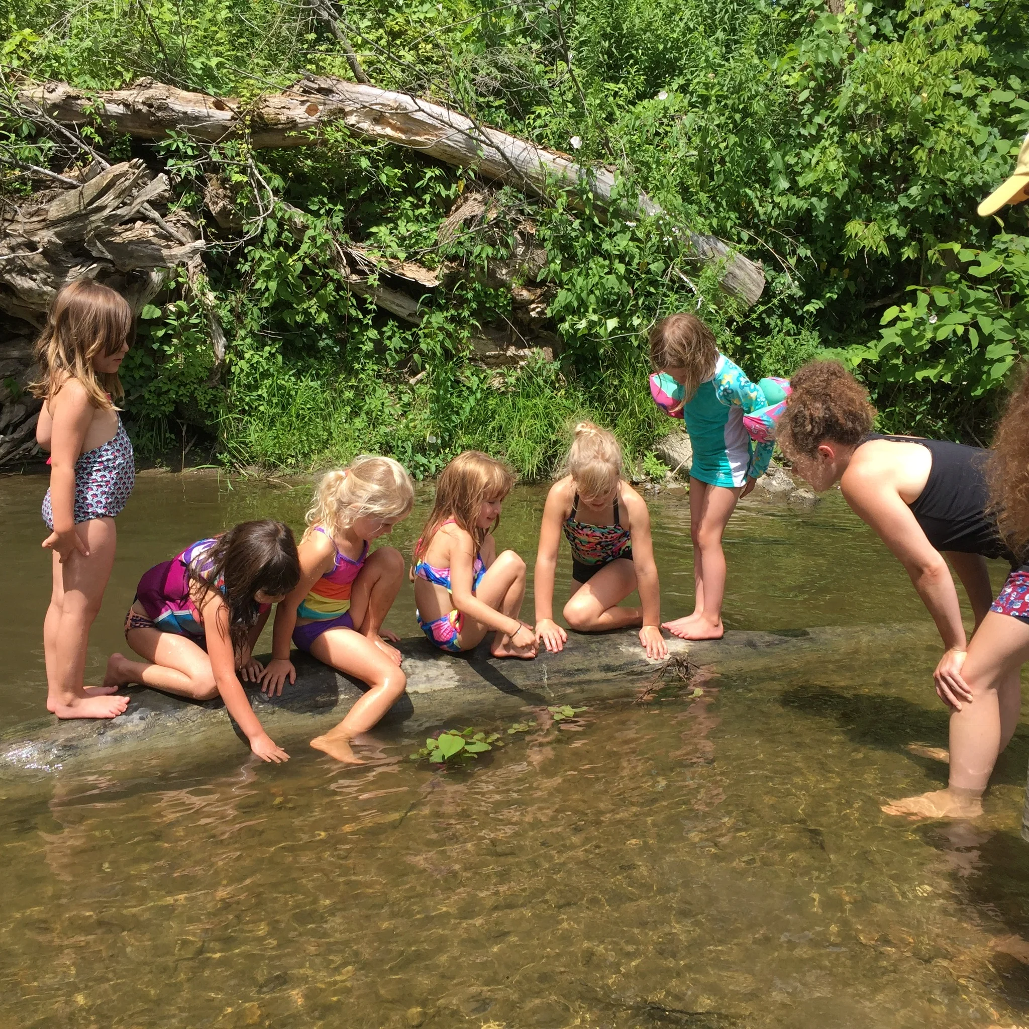 Farm + Nature Kids' Camp 2020: Dreaming with the Land (ages 6-9)