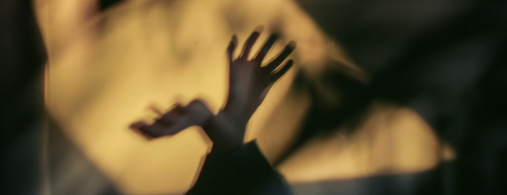 Screen Shot 2019-07-30 at 4.01.40 PM.png