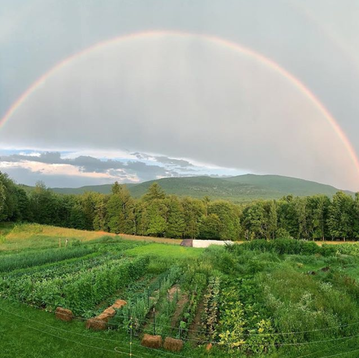 Screen Shot 2020-01-30 at 5.33.55 PM.png