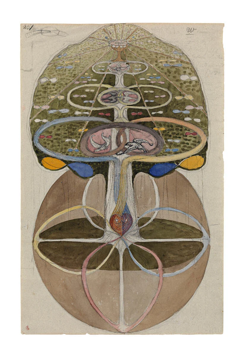 artwork: Tree of Knowledge by Hilma Af Klint