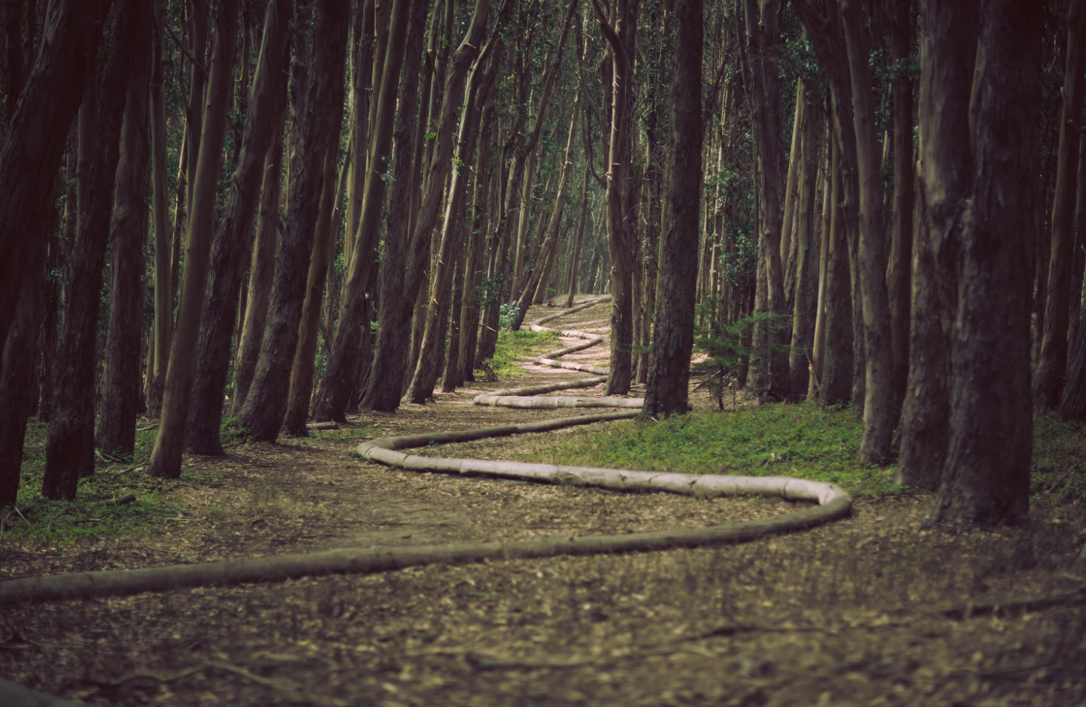 Screen Shot 2020-04-28 at 6.14.44 PM.png