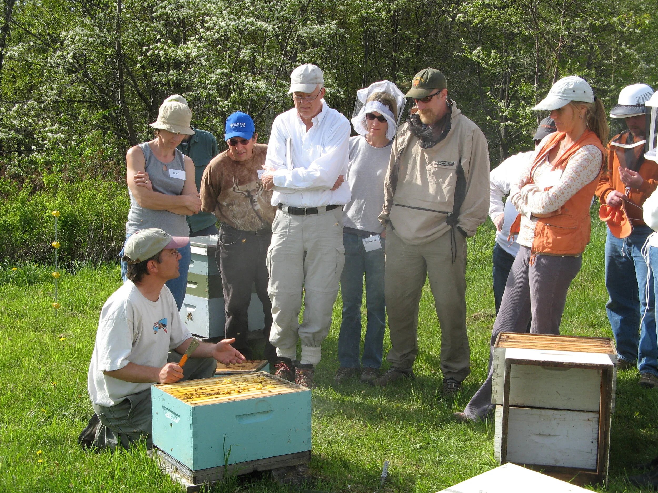 Natural Beekeeping with Ross Conrad (live virtual course) 