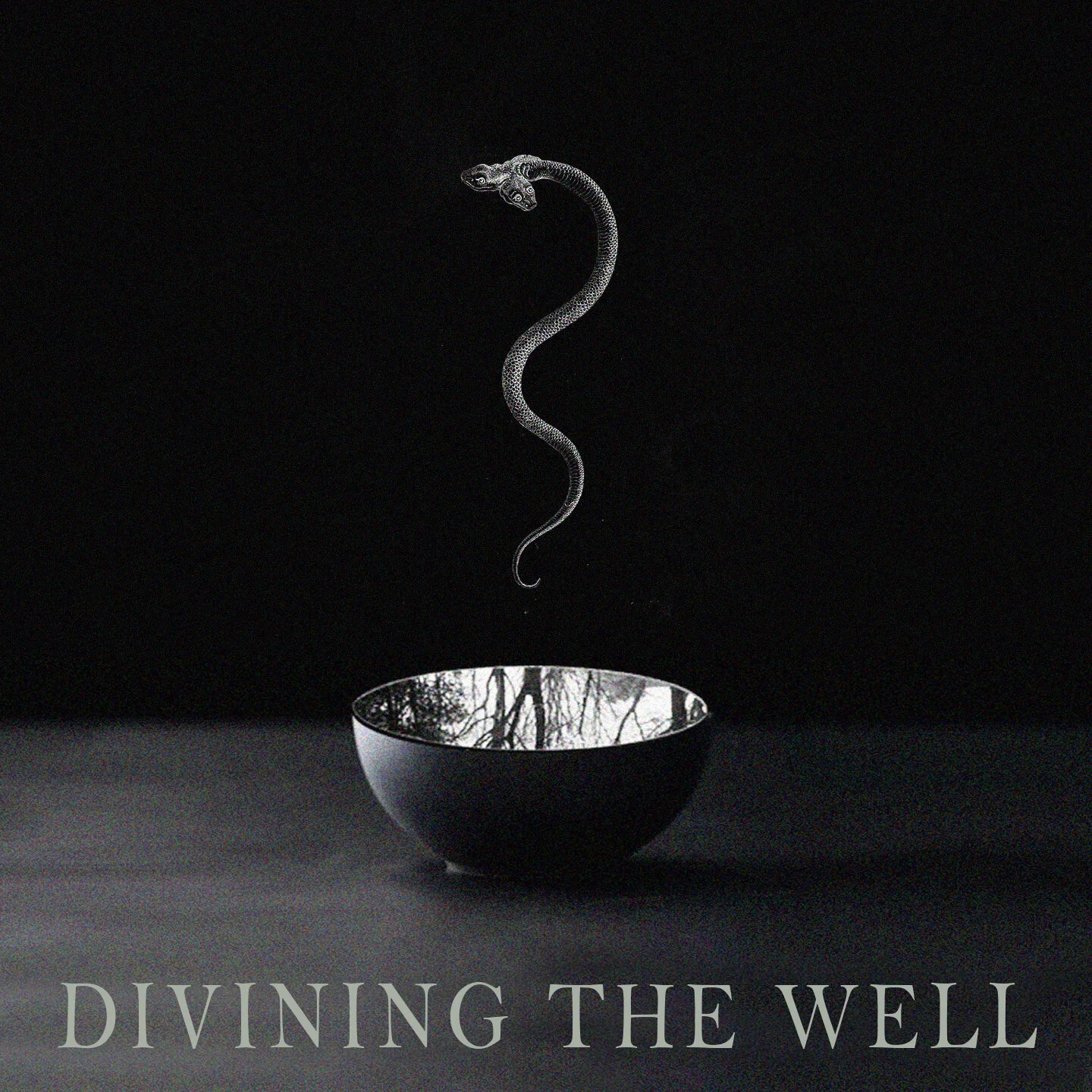 DIVINING THE WELL: Embodying Earth &amp; Womb Wisdom (online immersion) 