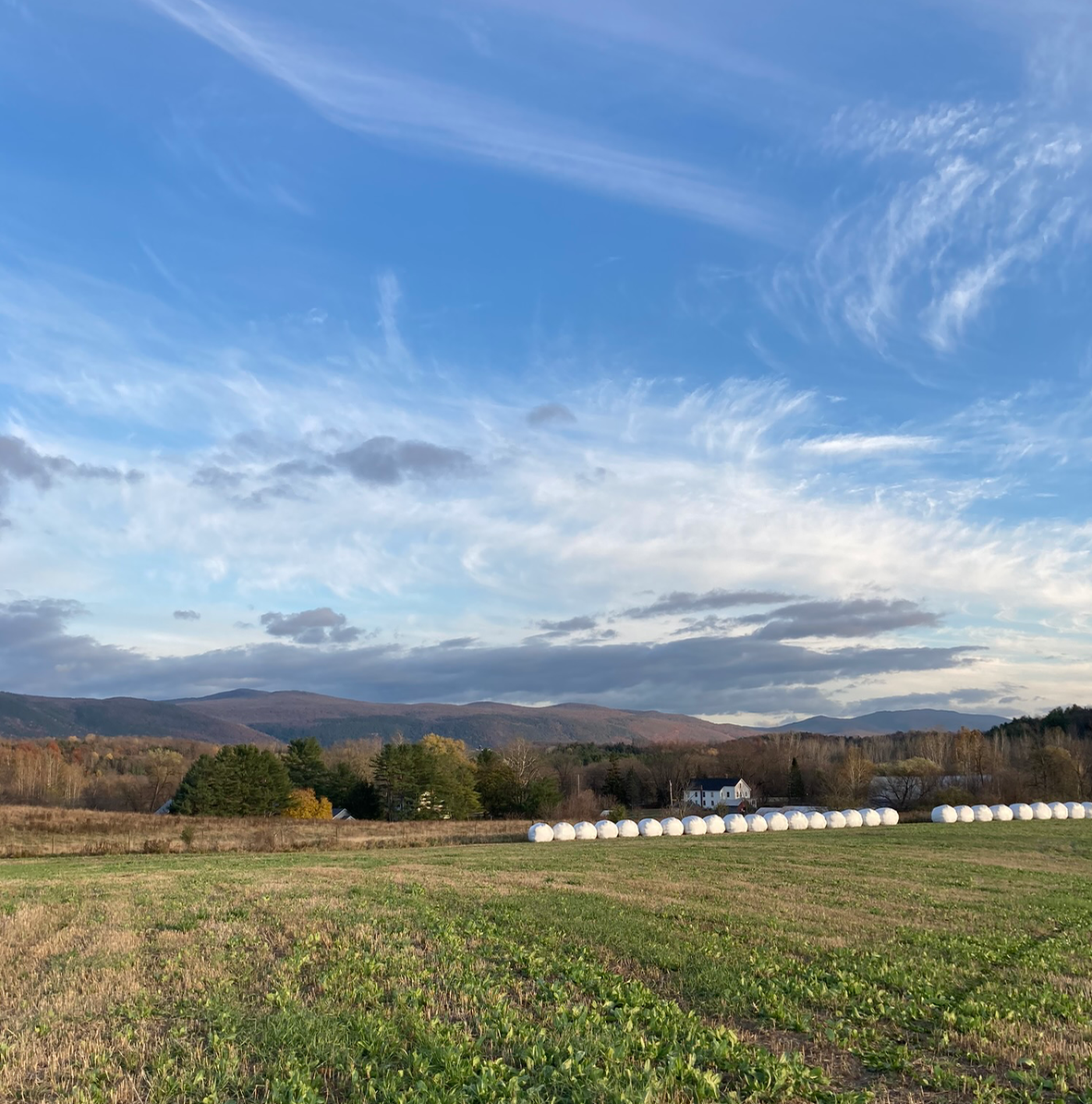 Screen Shot 2020-11-19 at 9.12.56 PM.png