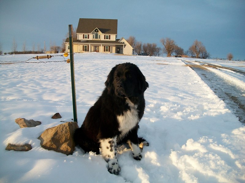 Mercy in the snow