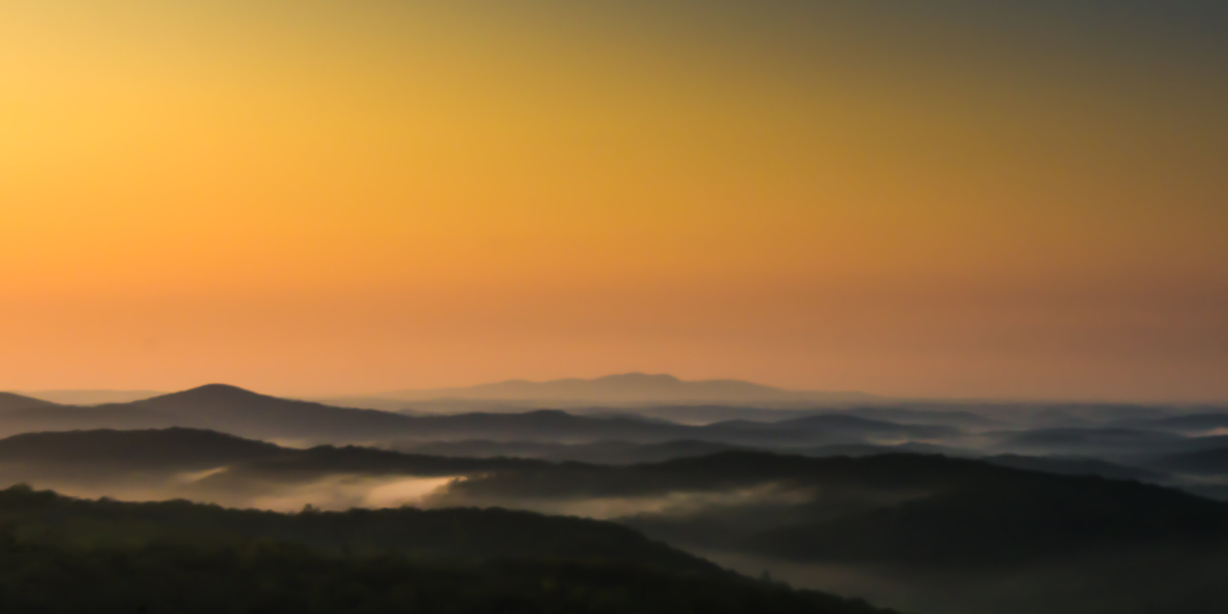 soft shapes and colors of early morning