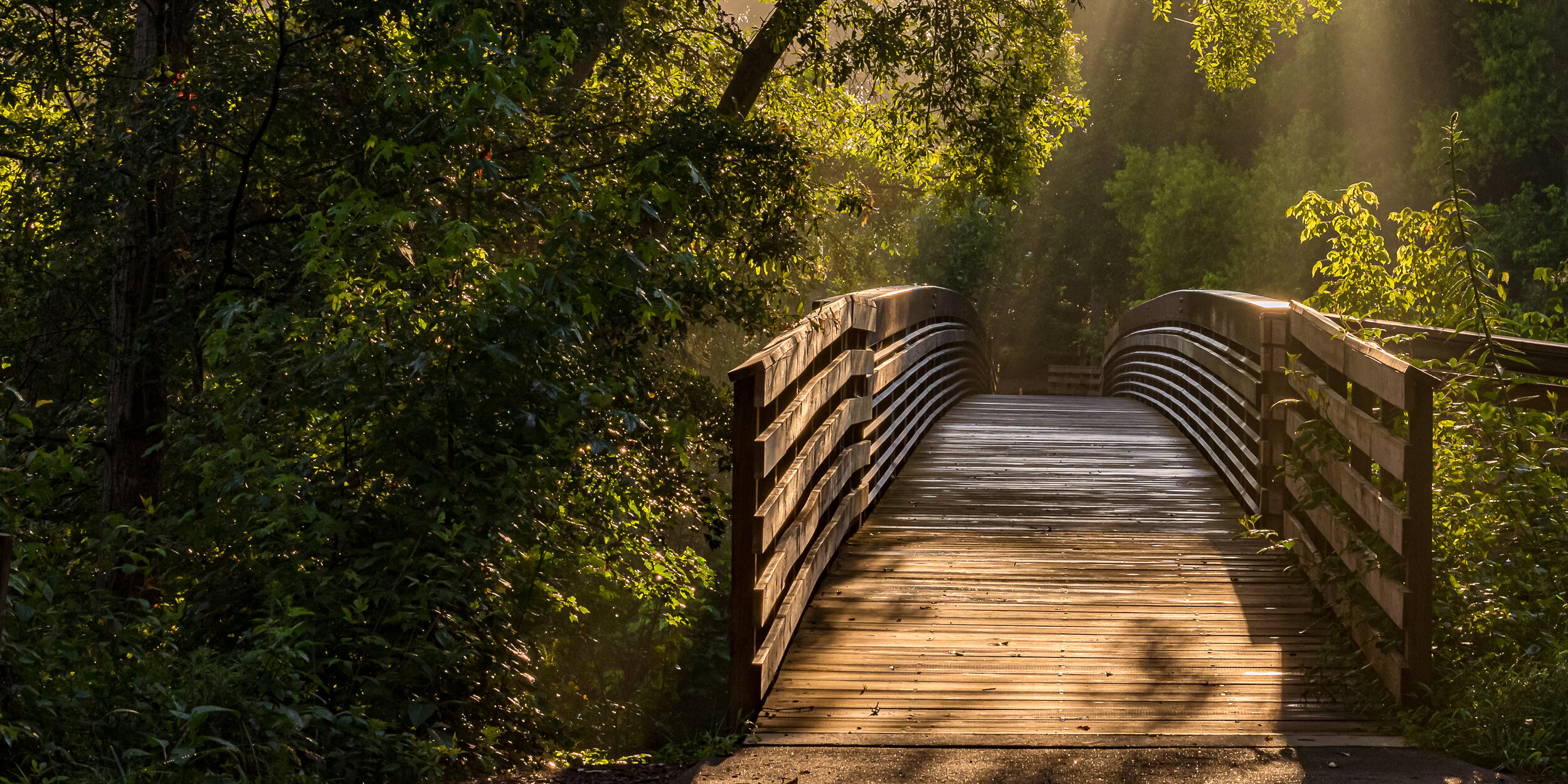 sun beams on pedestrian bridge over Reedy River