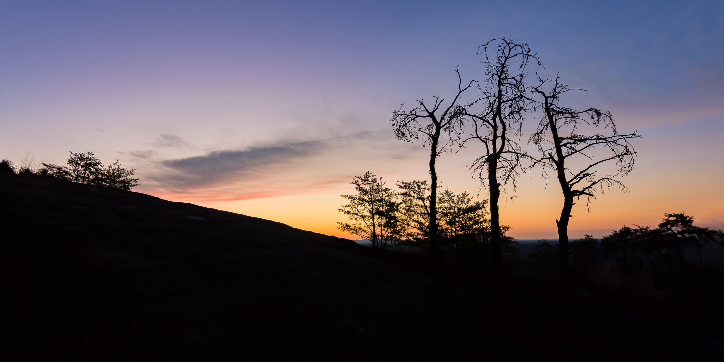 mountaintop trees at dawn