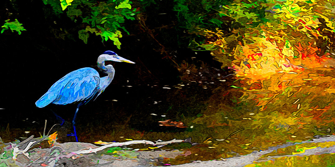 heron in fall with painterly effect
