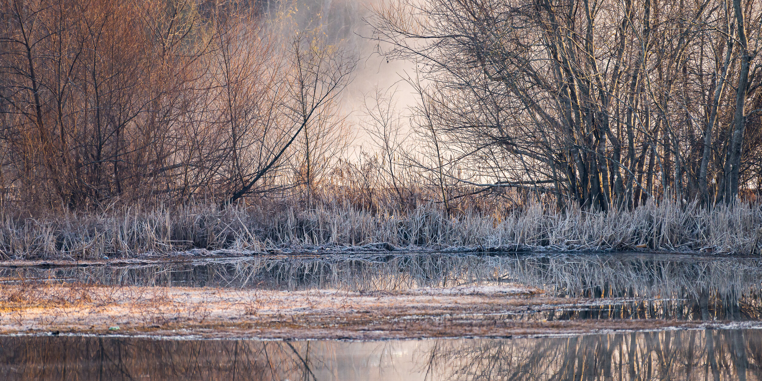 fog across the lake