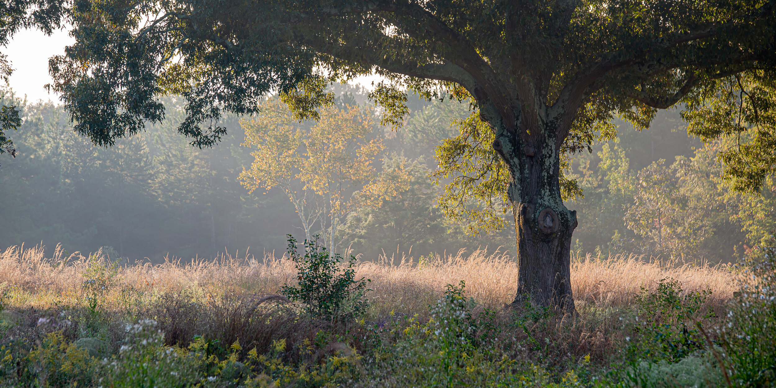 a moment in the shade