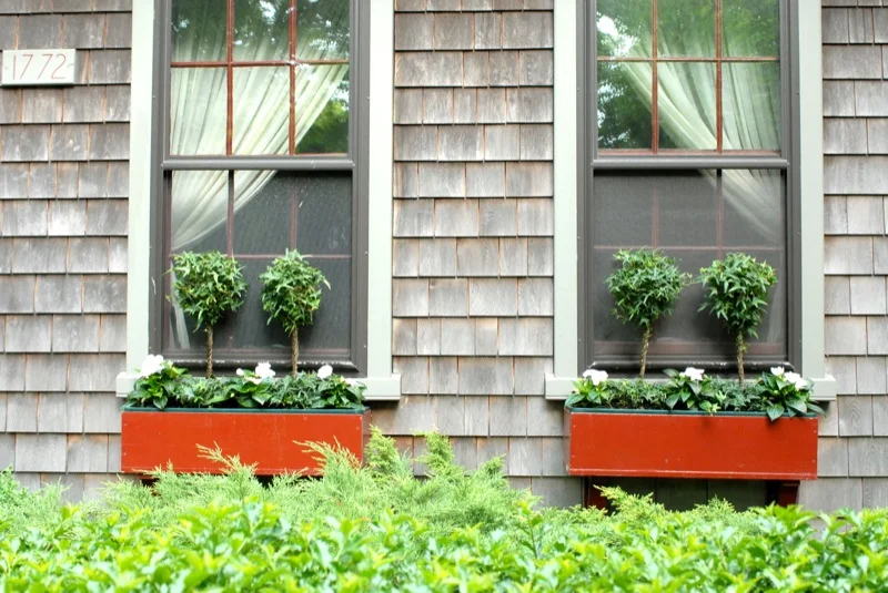 windowboxes_31.jpg