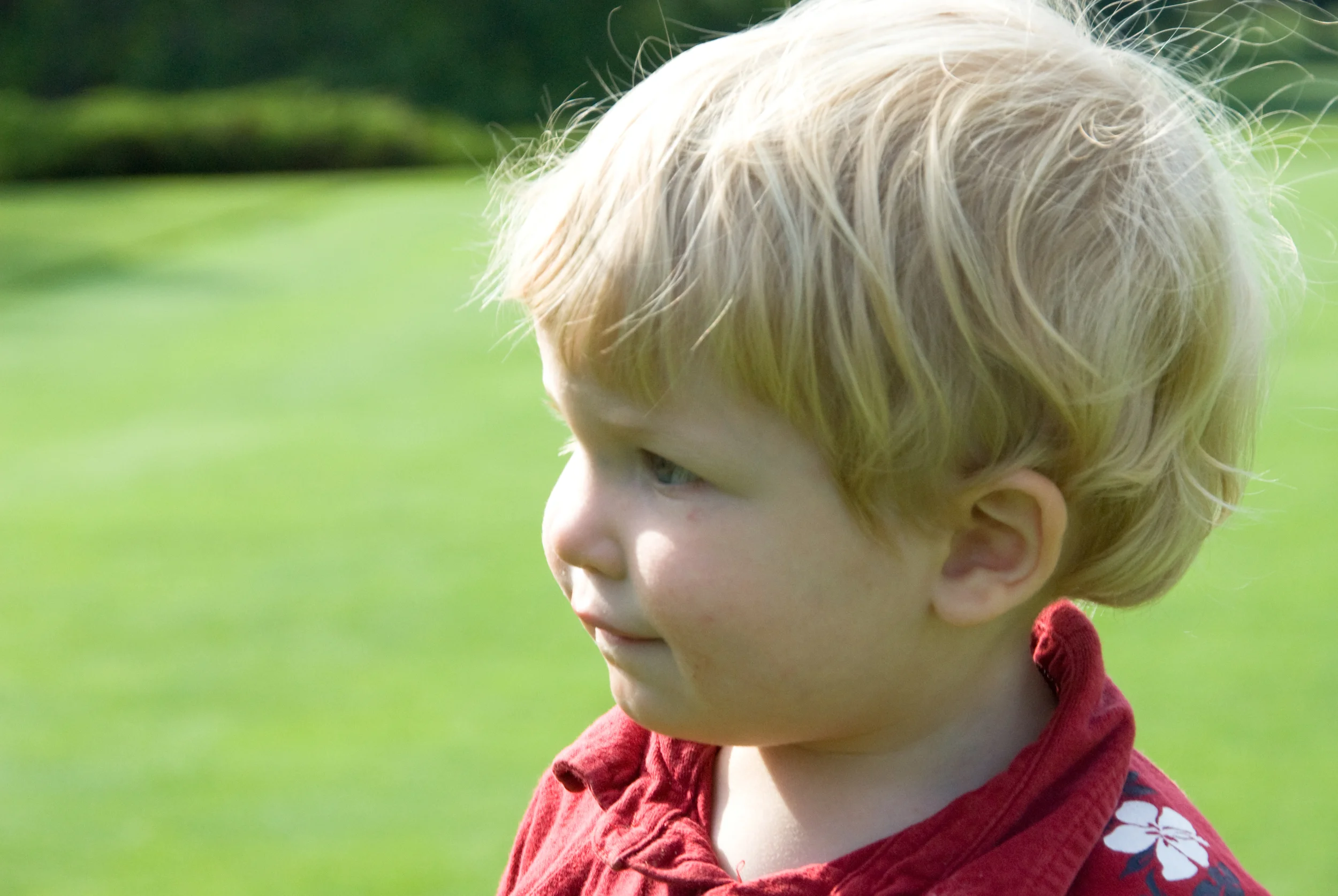 Daniel_2__June_08_3.jpg