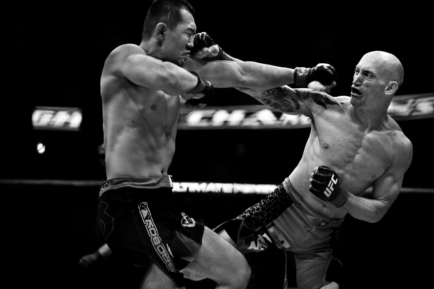 MMA Brawl