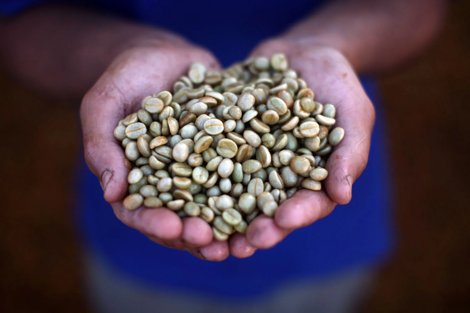 BL_061207_CafeBomDia_Coffee_0811.jpg