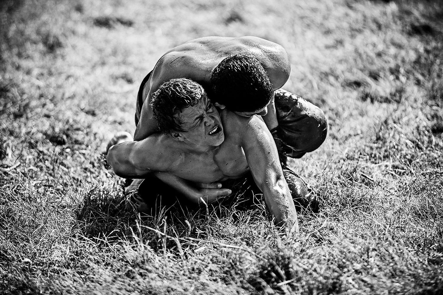 Oil Wrestling Fight