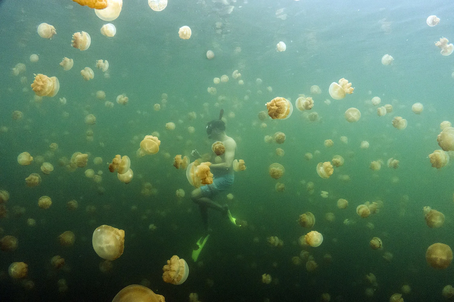 20150824_NYTmag_Palau_0865.jpg