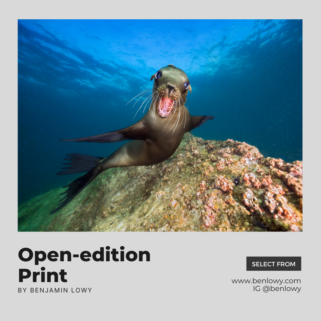 Open-edition print by Ben Lowy