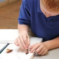 Bug Camp