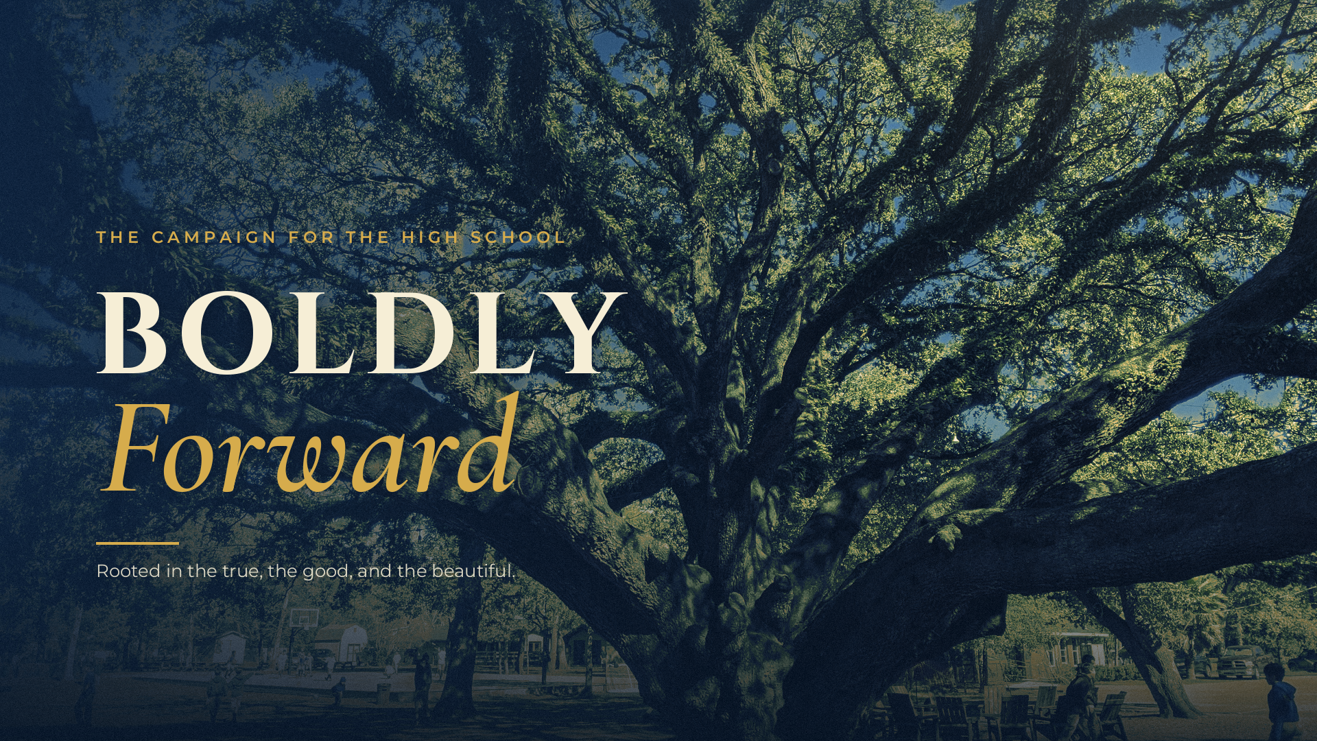 boldly-forward-background.png