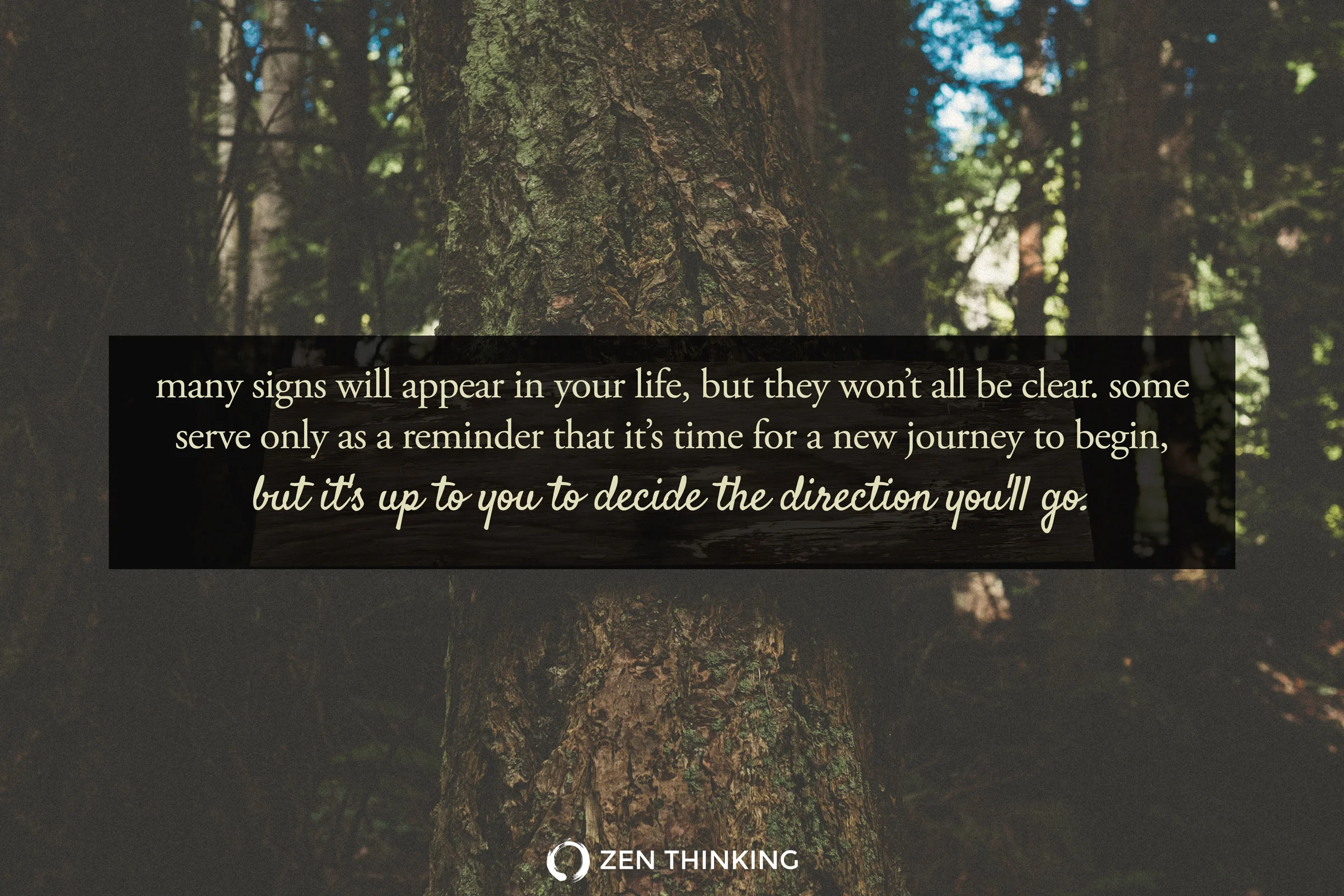 words & photo by Brian Thompson.