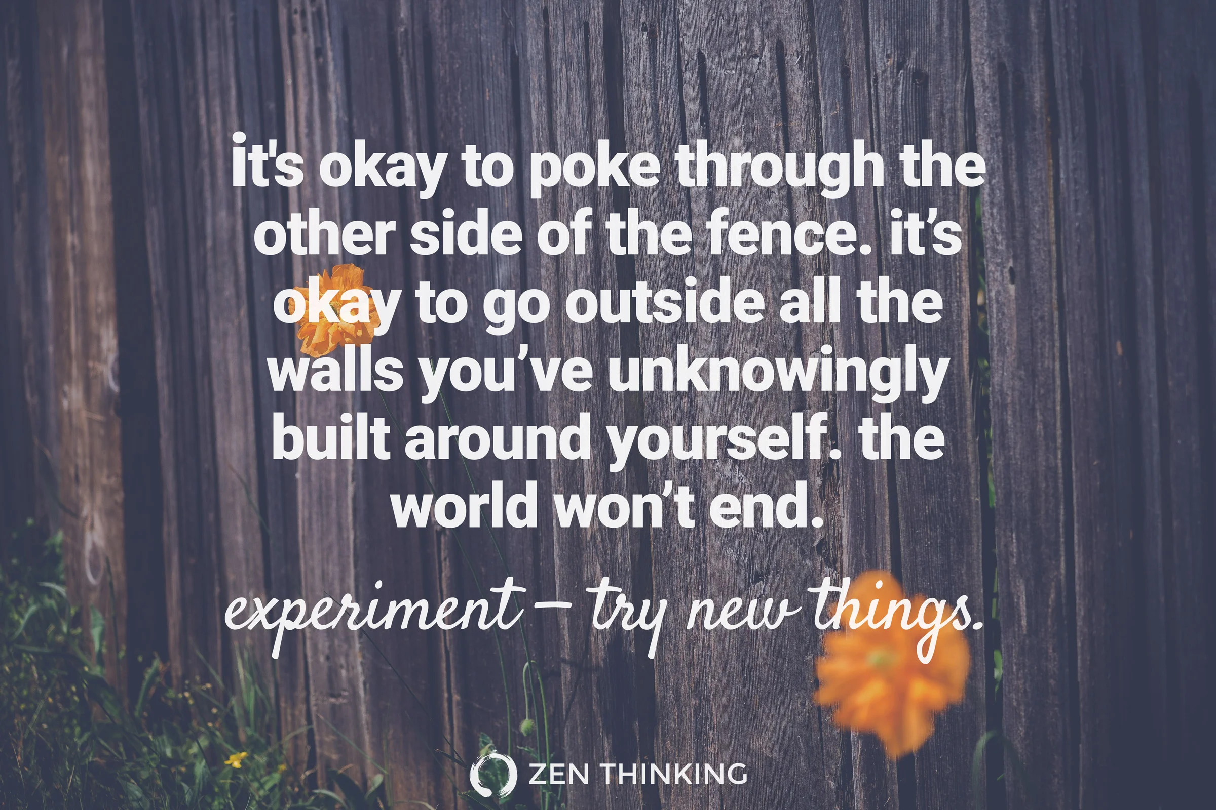 words & photo by Brian Thompson.