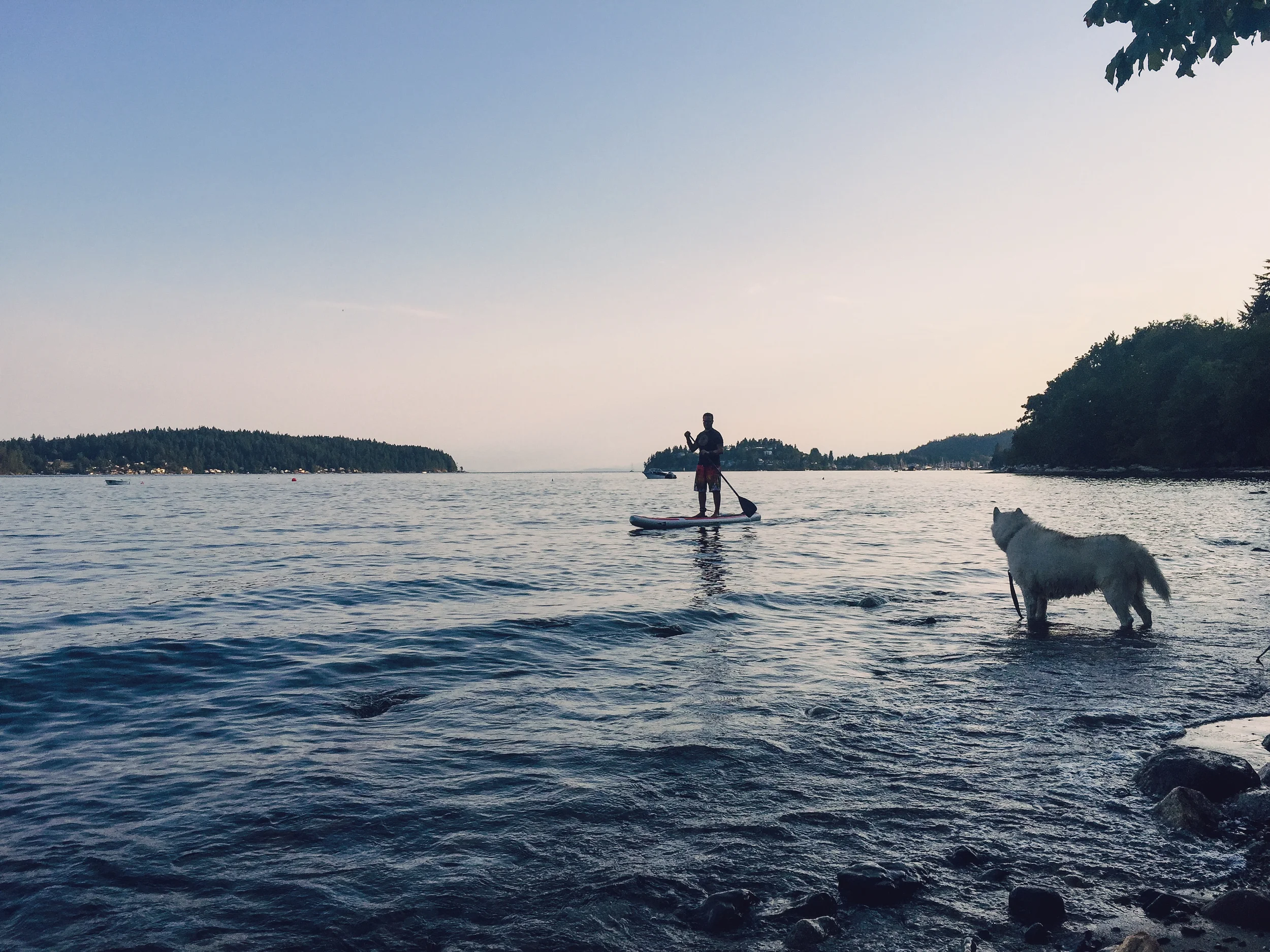 paddling in my "front yard", with Koda the Siberian Husky.