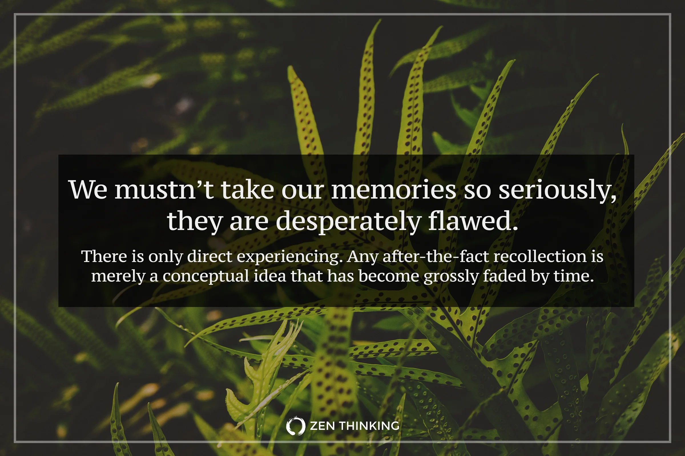 words & photo by Brian Thompson.