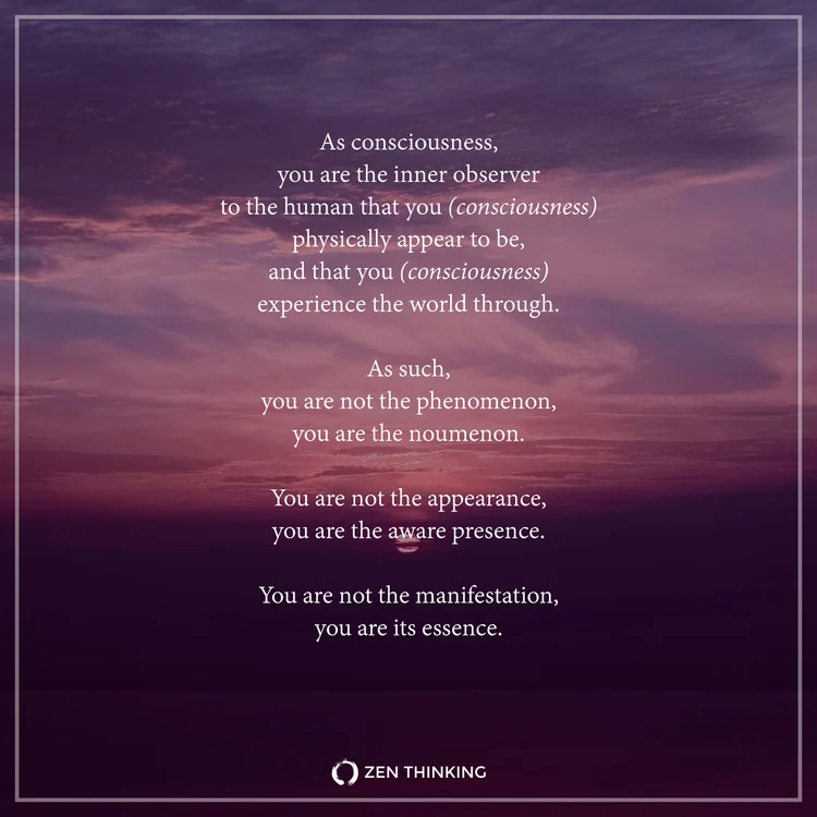 You Are Not The Manifestation You Are Its Essence Zen Thinking