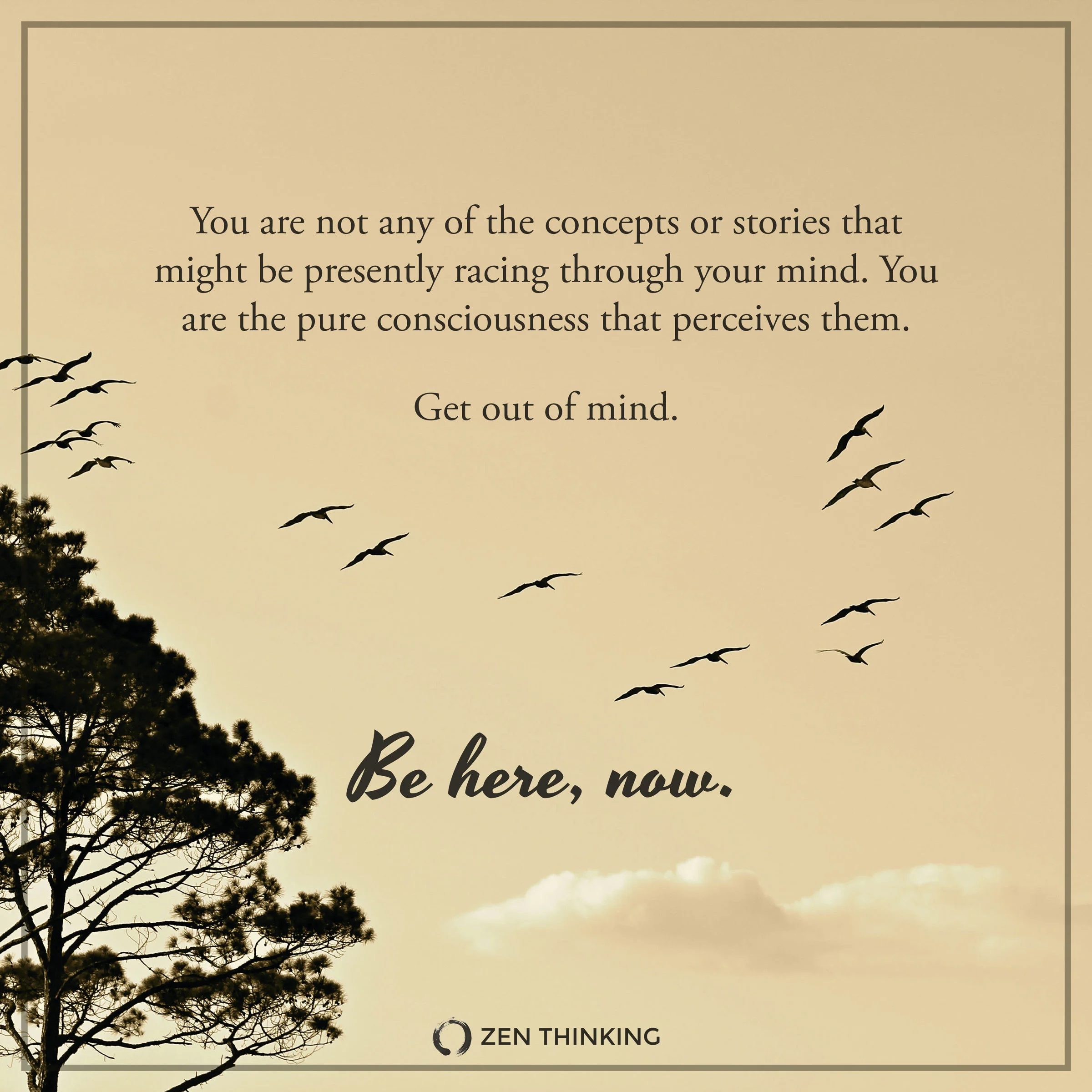 words & design by Brian Thompson.