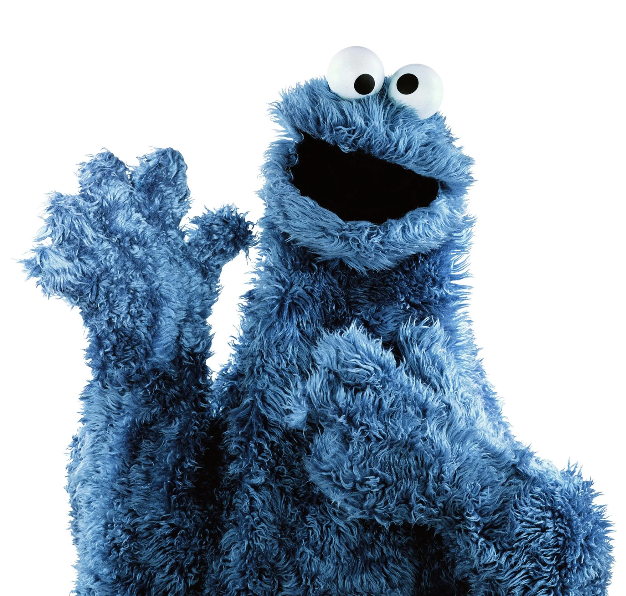 140408-cookie-monster-jhc-1135_68232dae2801544feaa1d7efcc772bff.fit-2000w.jpg