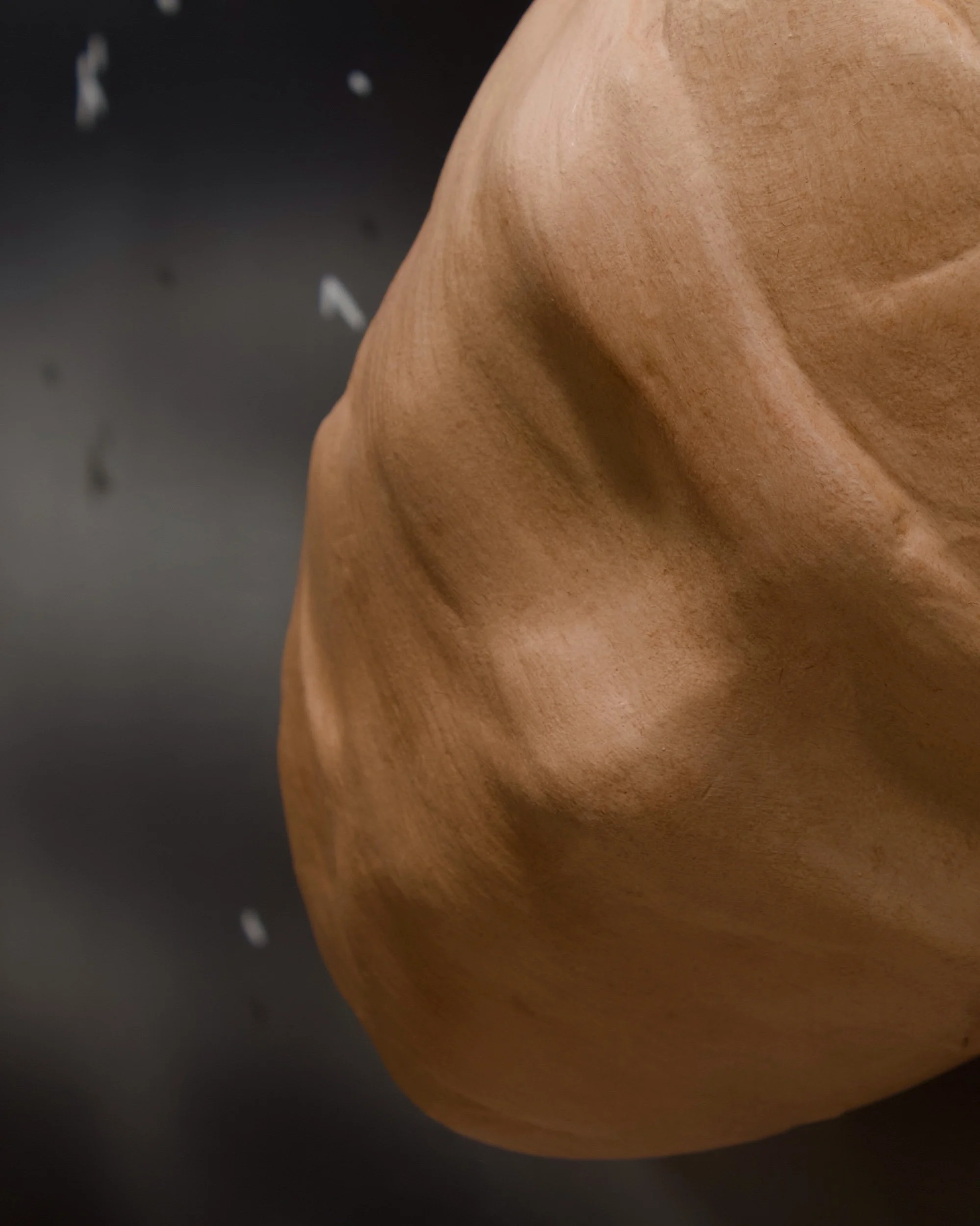 Where Is My Head?, 2026