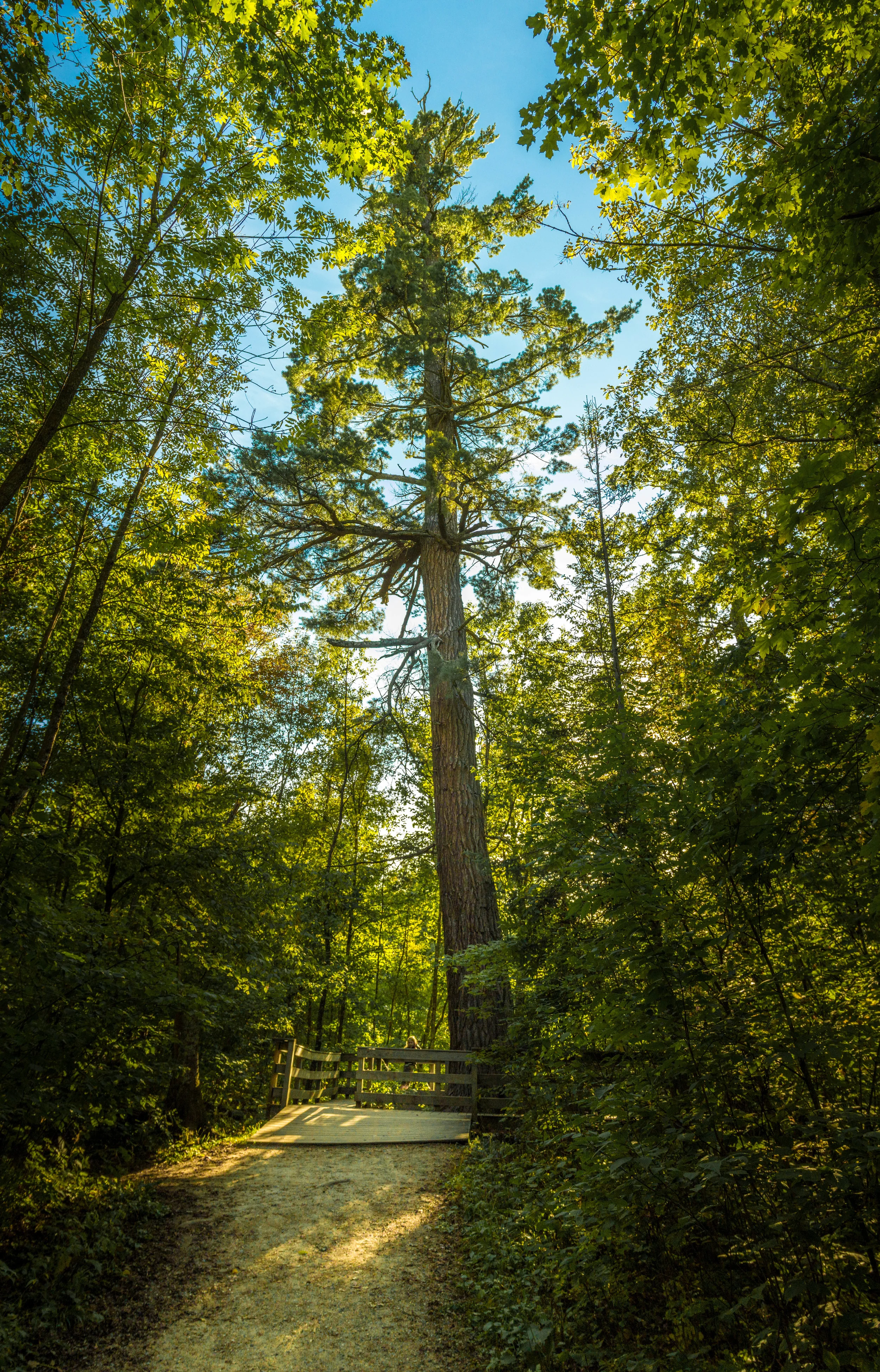 IMG_9868-Pano.jpg