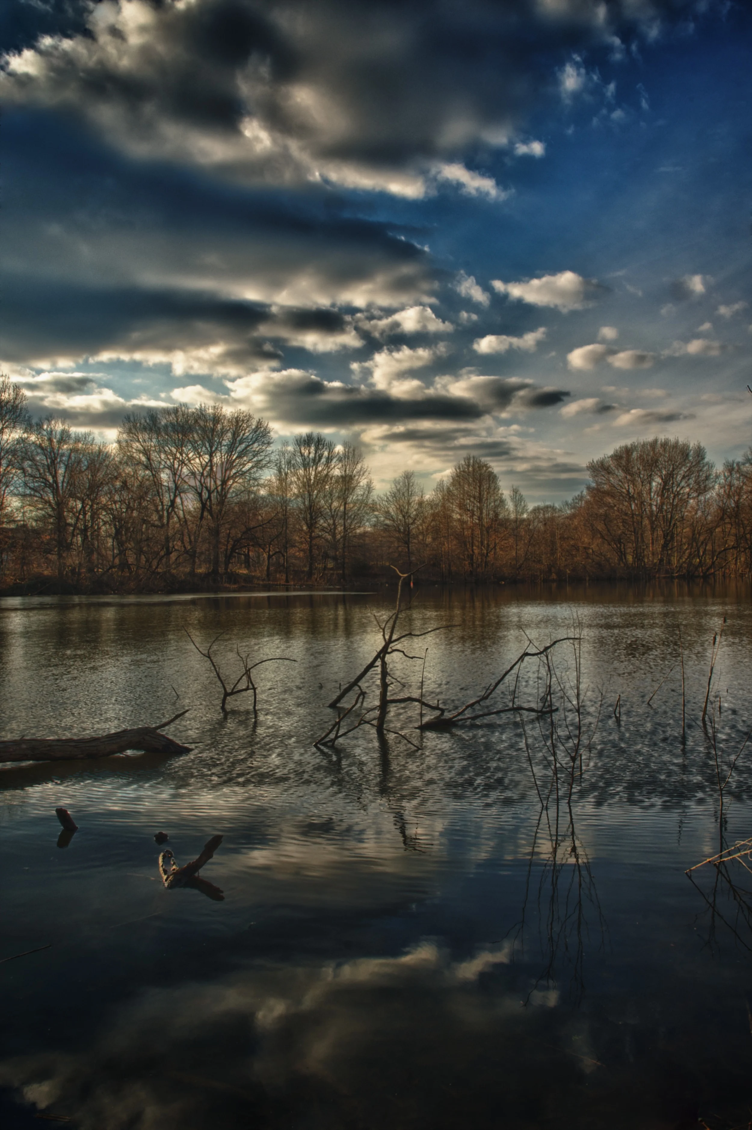 D20_7182_HDR.jpg