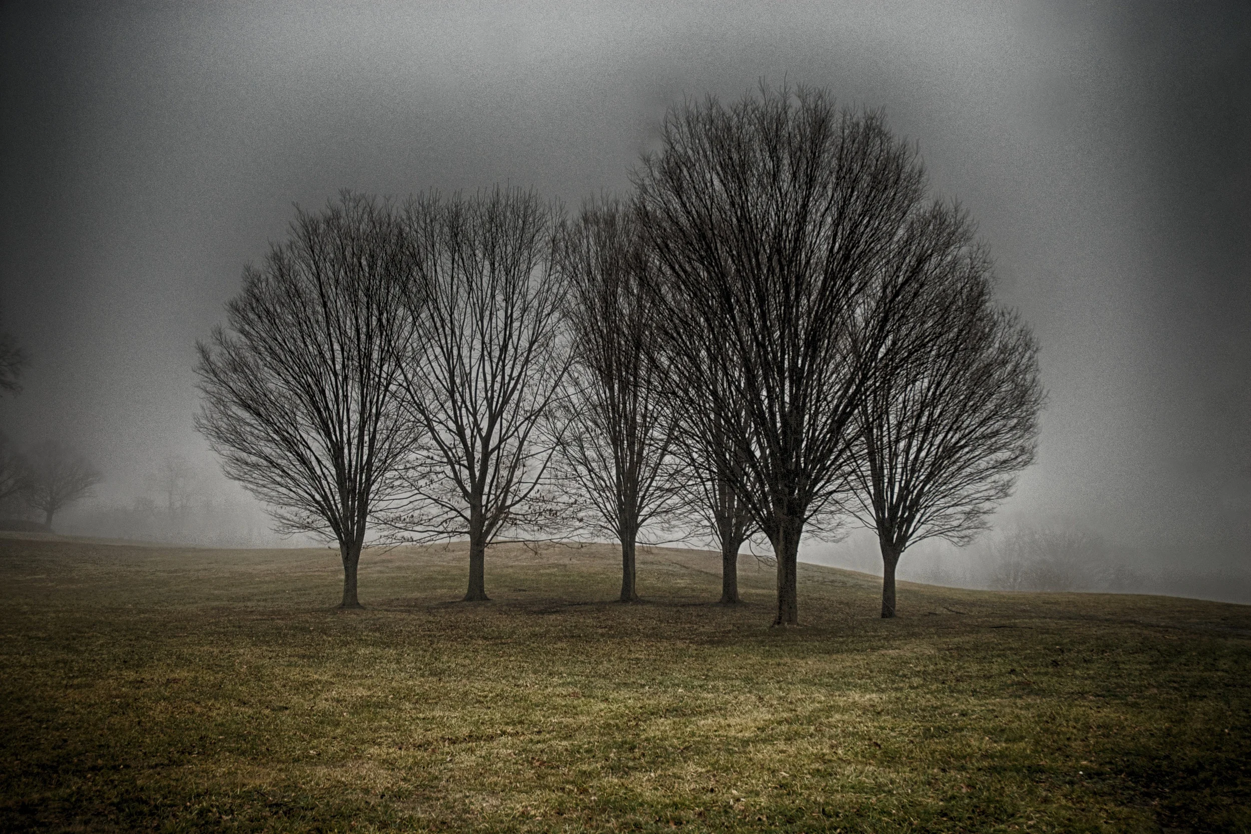 Fog on Belmount #1.jpg