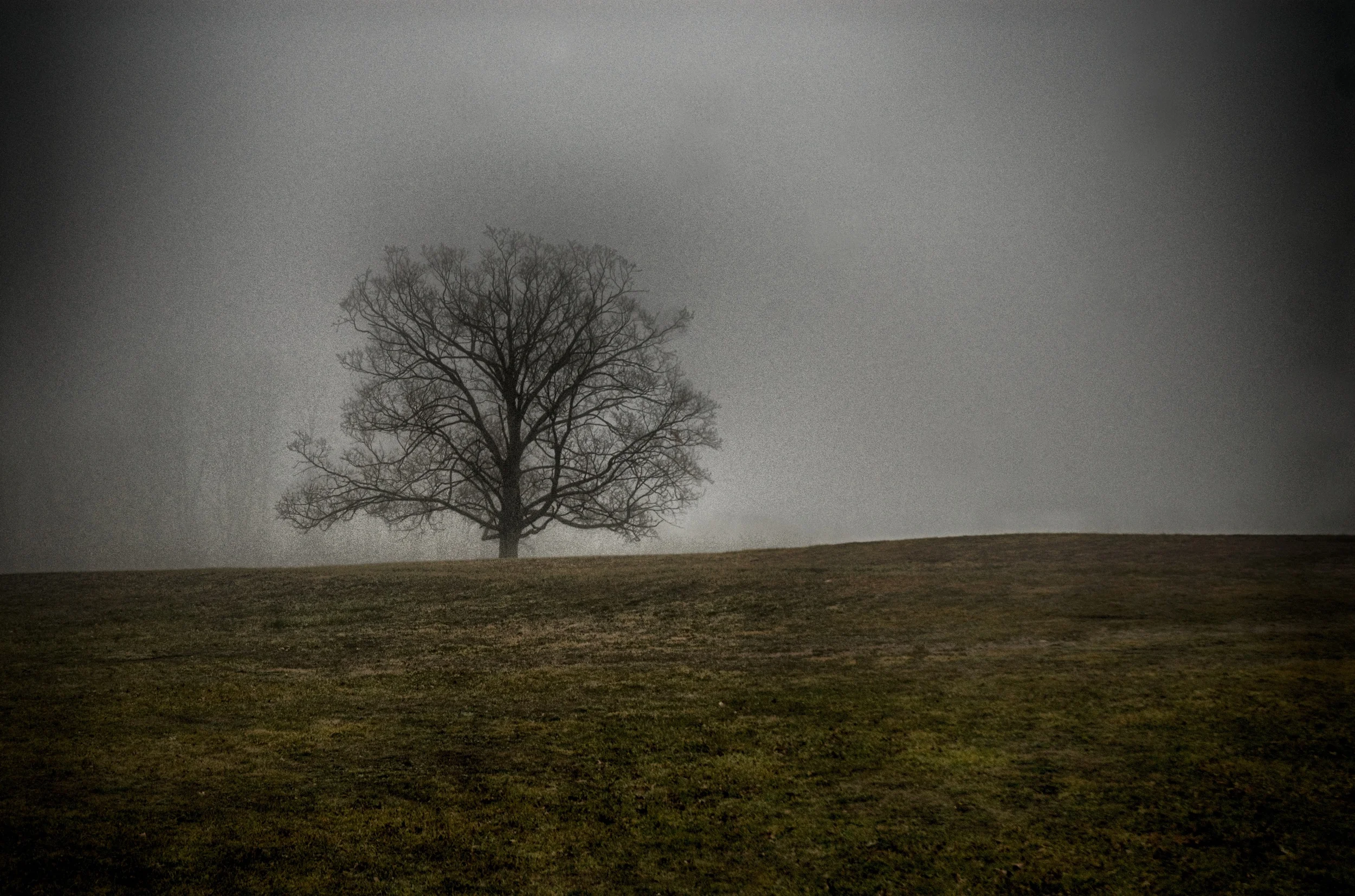 Fog on Belmount #2.jpg