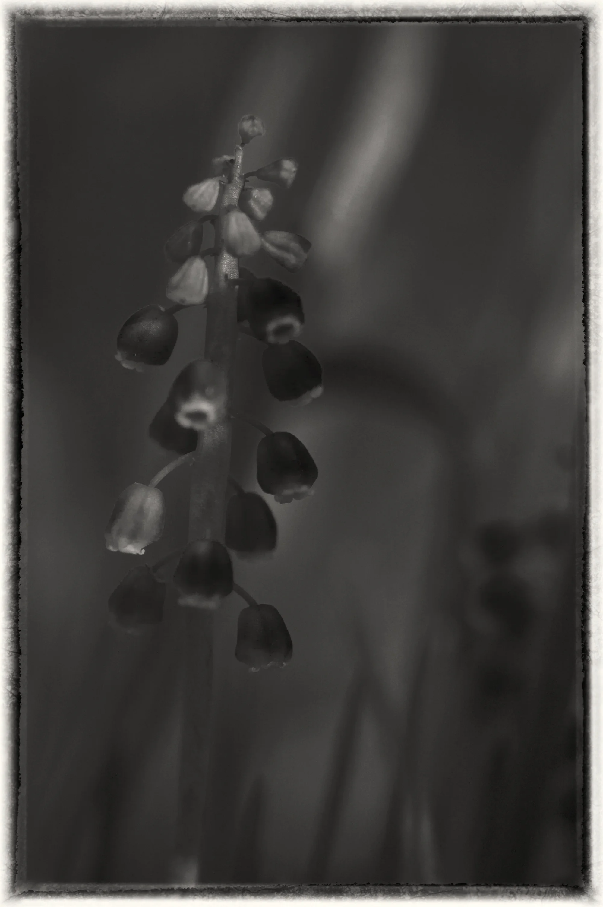 Spring Beginning on the Wissahickon #7.jpg