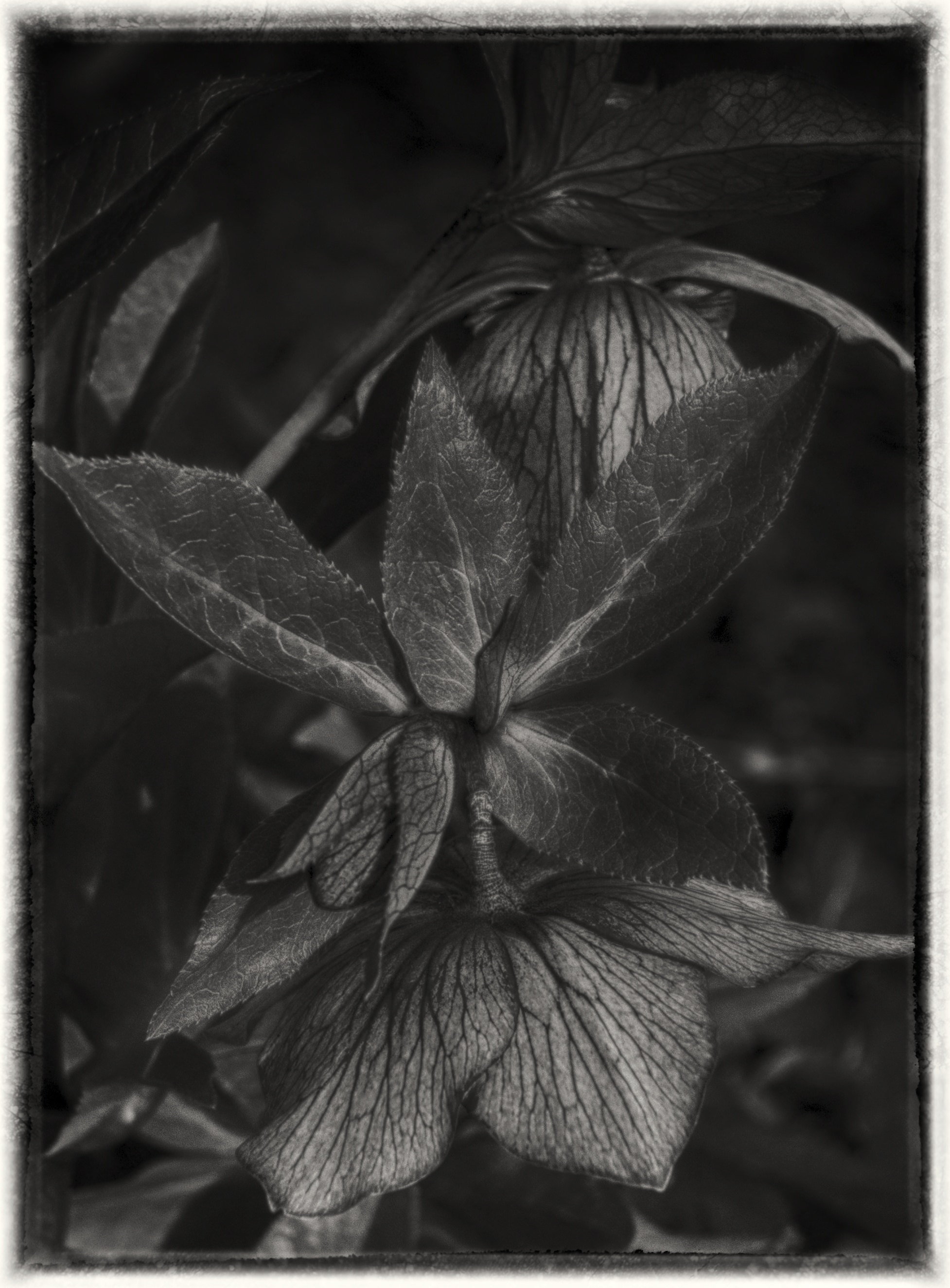 DSC_0072_HDR.jpg