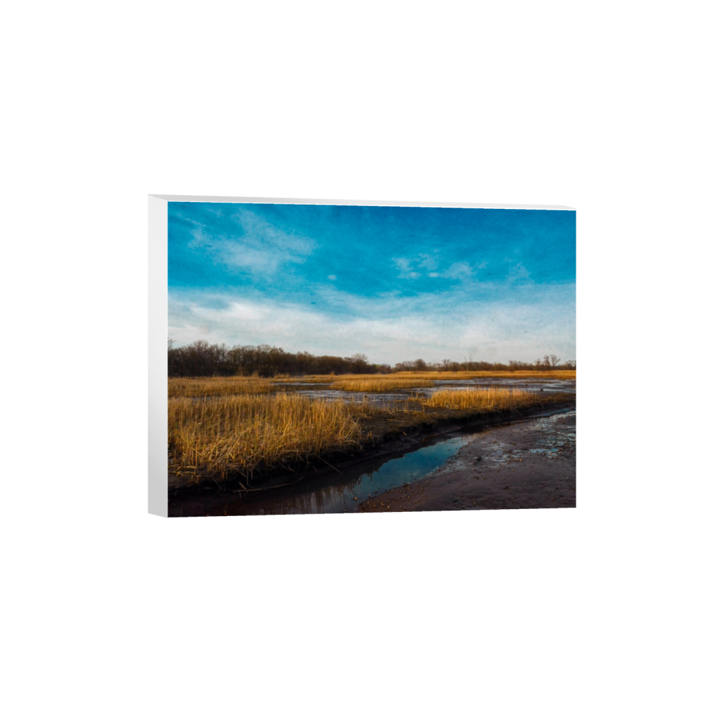 canvas_rectangle3_4_152_0_2656_1992_0_false_ffffff_0_0.png