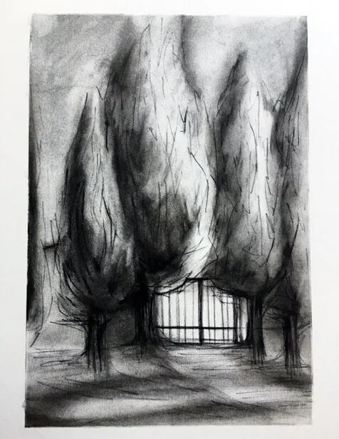 (sold) “Front Gate Cypresses”, charcoal on paper, 11”x17”, 2019