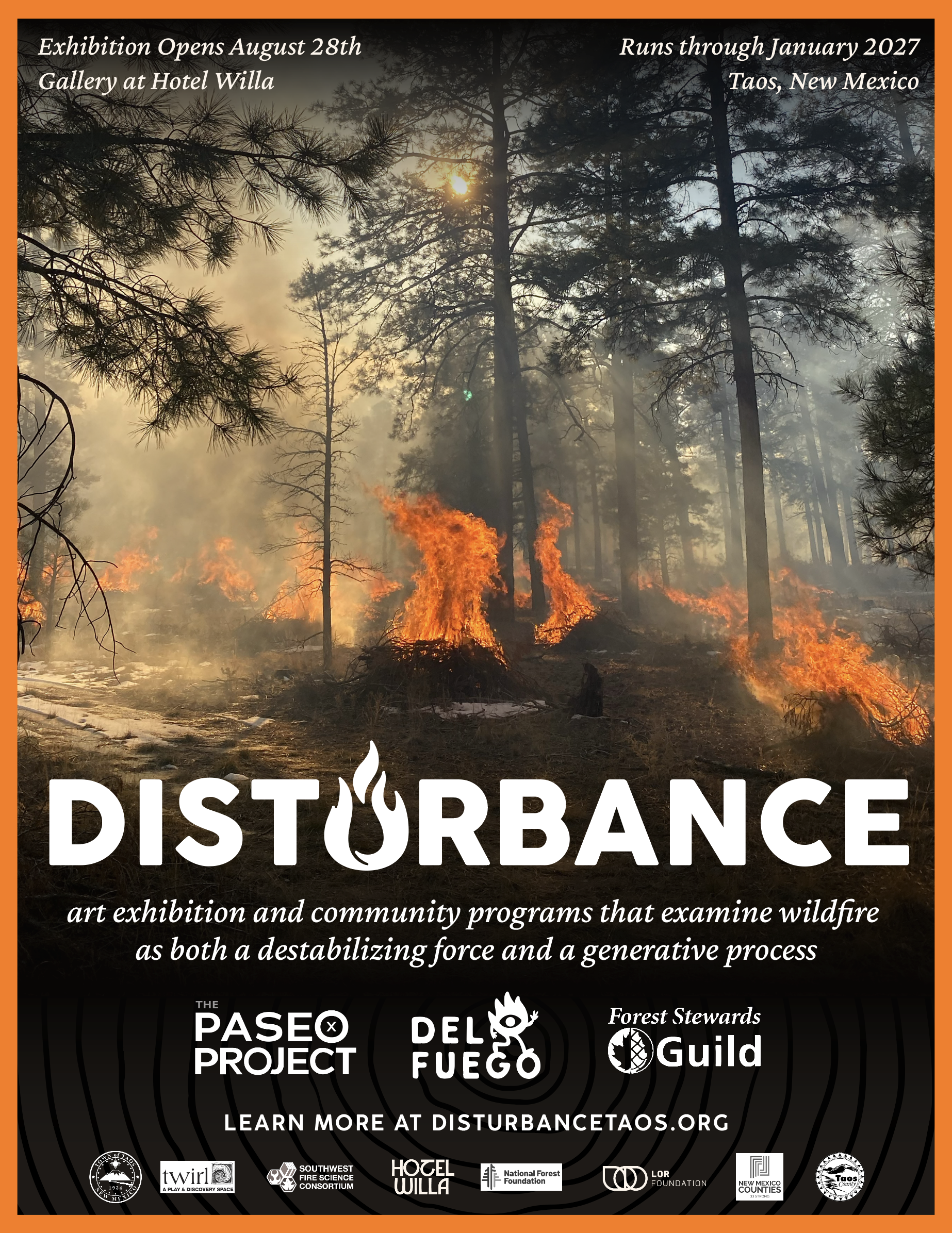 Disturbance_Poster_hr.png