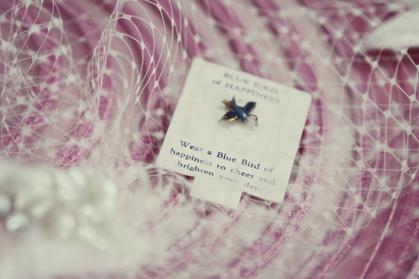 careyshaw_reginaweddingphotographer_chelsi (3).jpg
